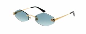 CARTIER CT0433S/S-003